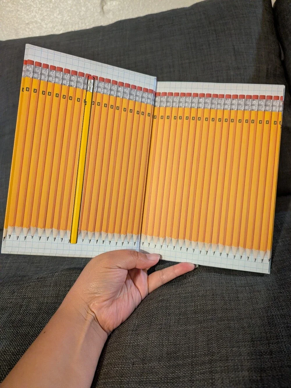 The Hidden Pencil Journal!